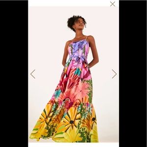 Brand New Farm rio maxi dress